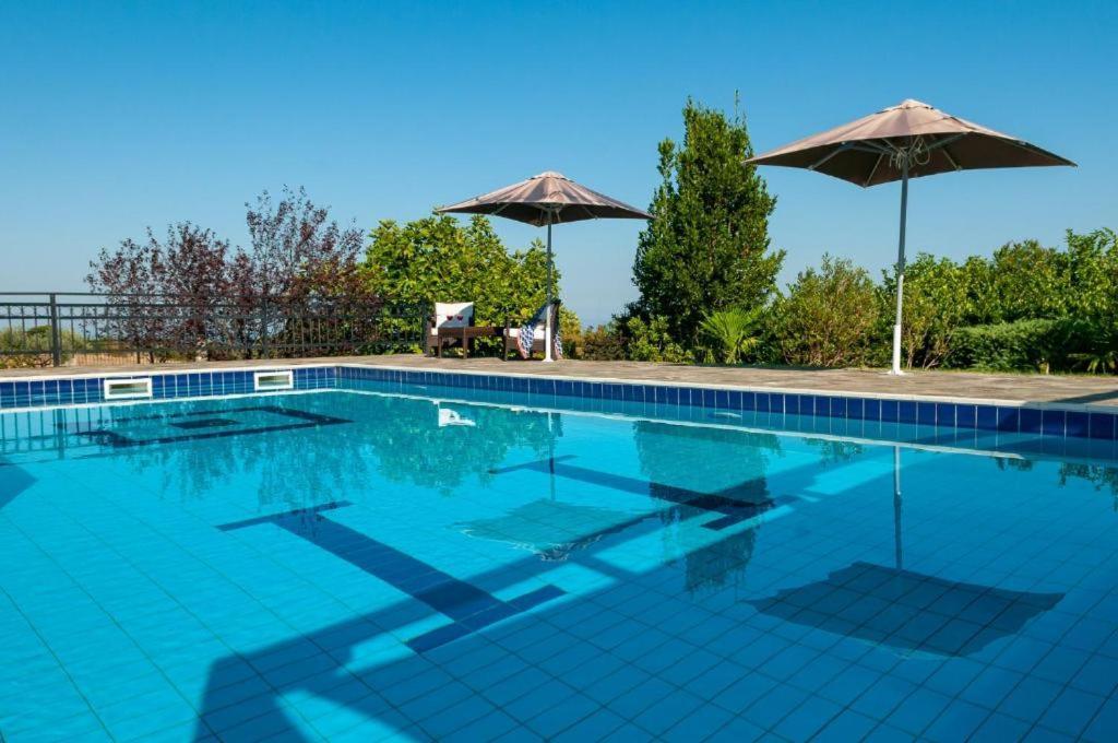 Villa Nefeli Leptokarya  Dış mekan fotoğraf